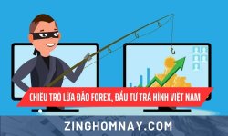 chiêu trò lừa đảo forex tại việt nam.jpg