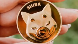 Đánh giá chi tiết Shibainu Coin (SHIB)