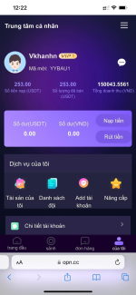 giao diện web opn.cc lừa đảo