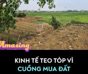 Kinh tế teo tóp vì cuồng mua đất